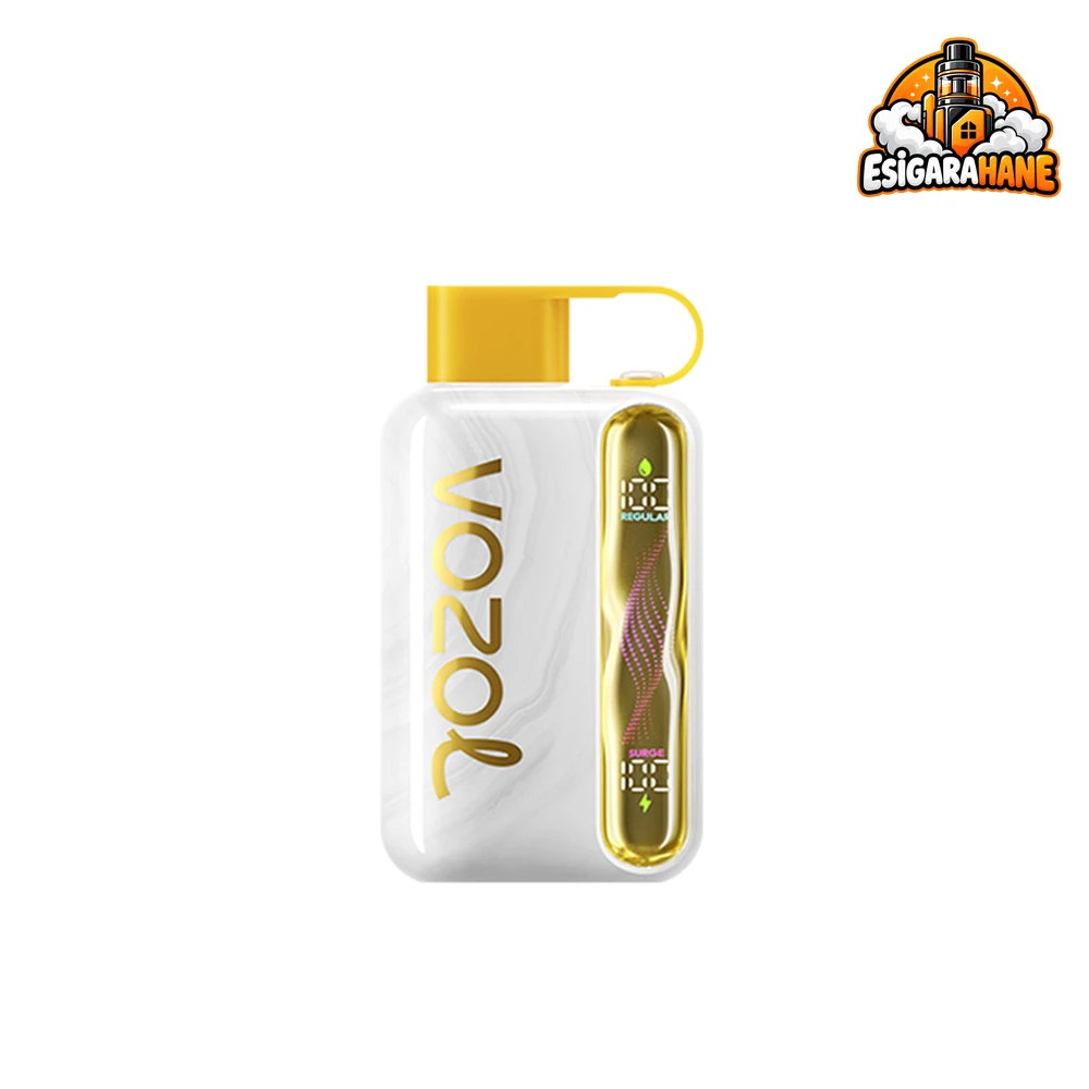 Vozol Star 40000 Mango Ice